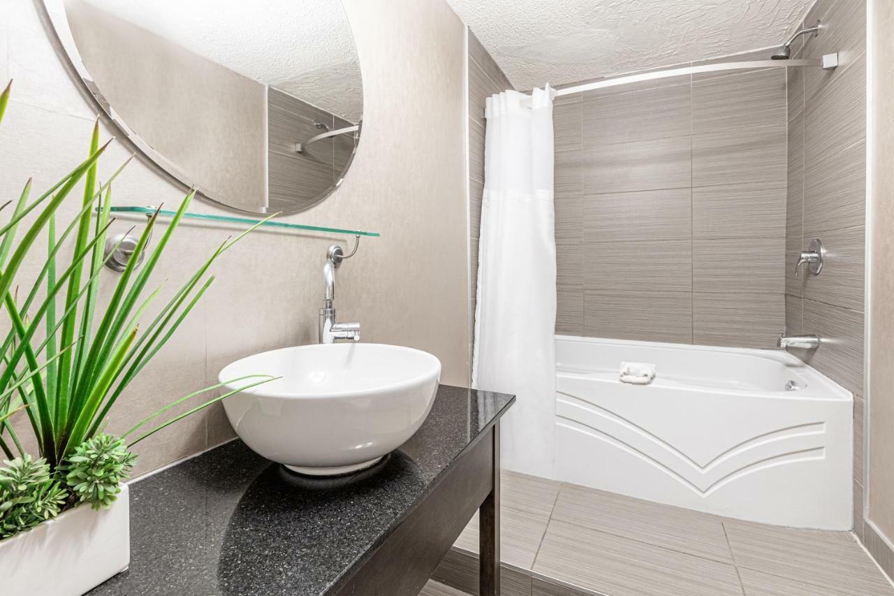Chambre de Luxe avec 2 Lits Queen-Size.